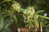 HPA2120.jpg 68536