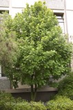 HPA2150.jpg 63921