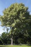 HPA2218.jpg 57104