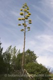 HPA2221.jpg 54461