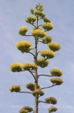 HPA2222.jpg 54462