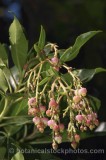 HPA2229.jpg 60966