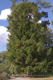 HPA2340.jpg 62133