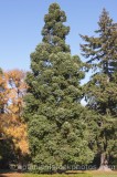 HPA2471.jpg 61059