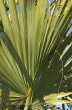 HPA2687.jpg 64766
