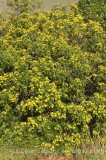 HPA2700.jpg 74035