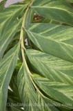 HPA2712.jpg 65602