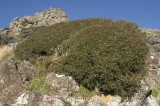 HPA2760.jpg 59984