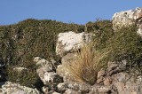 HPA2761.jpg 59985