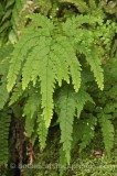 HPA2786.jpg 58609