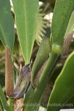 HPA2822.jpg 62157