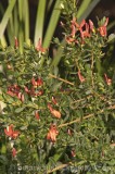 HPA2831.jpg 74310