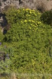 HPA2850.jpg 74020