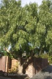 HPA2857.jpg 67973