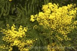 HPA2878.jpg 56742