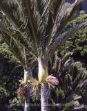 PAL0018.jpg 68779