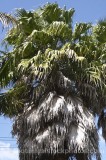 PAL0023.jpg 64982