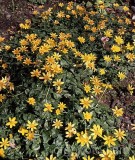 PER0091.jpg 60507