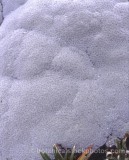 PER0197.jpg 69843
