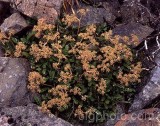 PER0201.jpg 65765