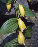 PER0216.jpg 64889