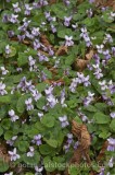 PER0225.jpg 60924