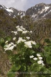 PER0346.jpg 60521