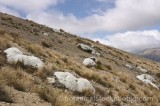 PER0363.jpg 69837