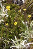 PER0367.jpg 60506