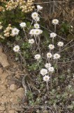 PER0373.jpg 65715