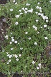 PER0406.jpg 65747