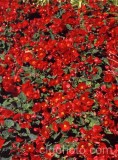 PHO0028.jpg 34309