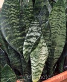 PHO0066.jpg 67860