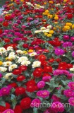 PHO0401.jpg 57016