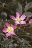 ROS0186.jpg 31526