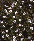 SHR0047.jpg 60653