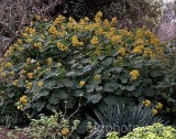 SHR0093.jpg 69956