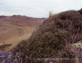 SHR0098.jpg 59983