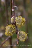 TRE0211.jpg 63194