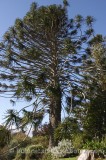 TRE0240.jpg 62093