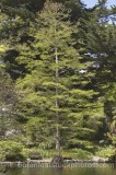 TRE0250.jpg 59188