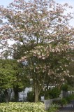 TRE0267.jpg 63058