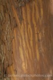 TRE0271.jpg 60975
