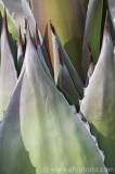 cfgcf71.jpg 83302