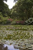 CFG7295.jpg 97350