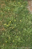 CFGbw63.jpg 82393