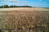 CFGcc60.jpg 98021