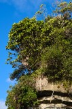 CFGfa80.jpg 98248