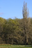 CFGfj87.jpg 91520