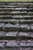 CFGgi07.jpg 93940